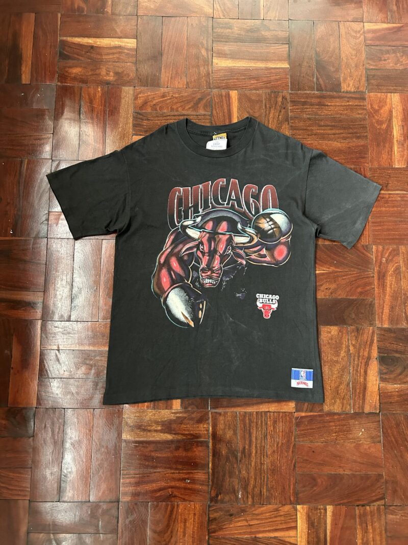 Vintage 1993 Nutmeg Chicago Bulls T-Shirt