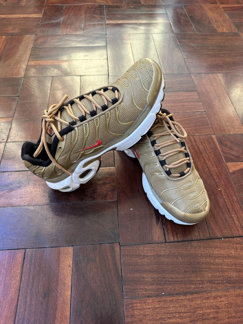 Pre owned Nike Air Max TN - UK6