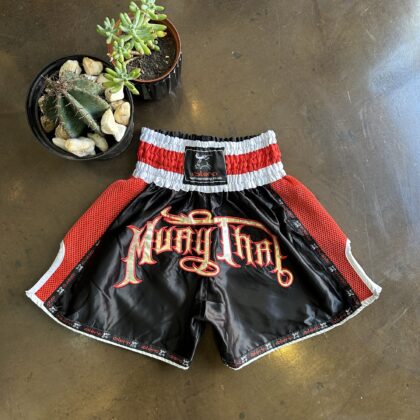 Vintage Kick Boxing Short - S
