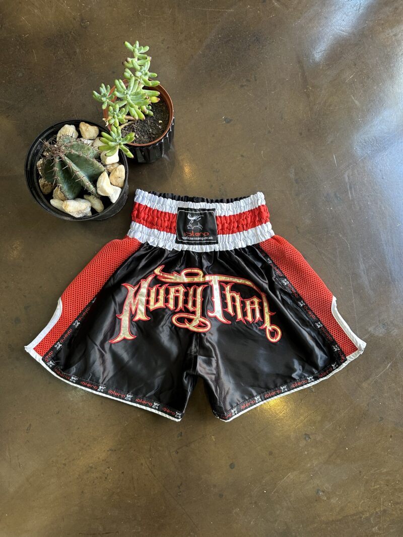 Vintage Kick Boxing Short - S