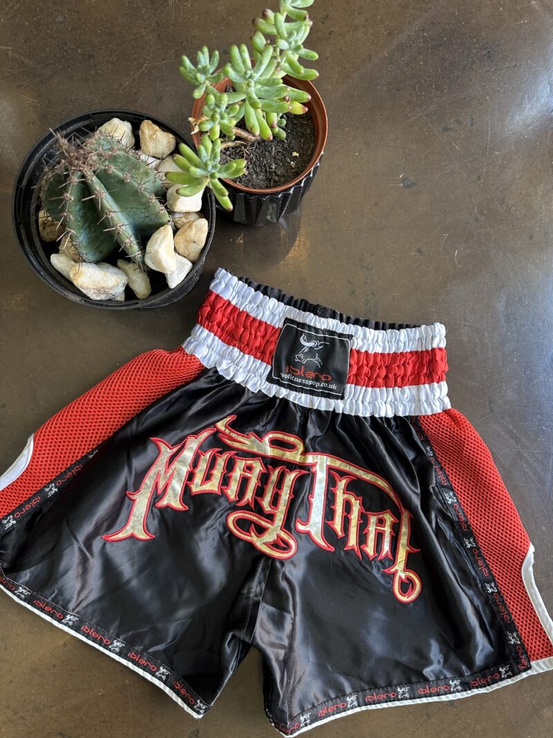 Vintage Kick Boxing Short - S - Image 2