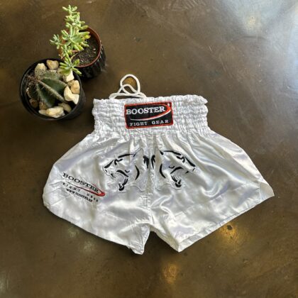 Vintage Kick Boxing Shorts