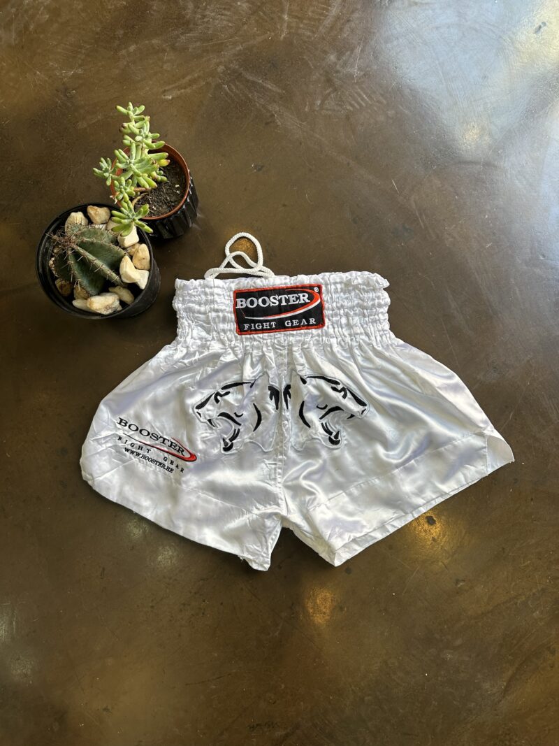 Vintage Kick Boxing Shorts